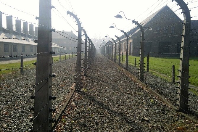Auschwitz and Birkenau Guided Tour from Krakow - Auschwitz and Birkenau with a Museum Guide: What You Should Expect