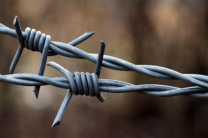 Auschwitz and Birkenau Tour - Auschwitz I: The Iron Gate Moment and Block 11