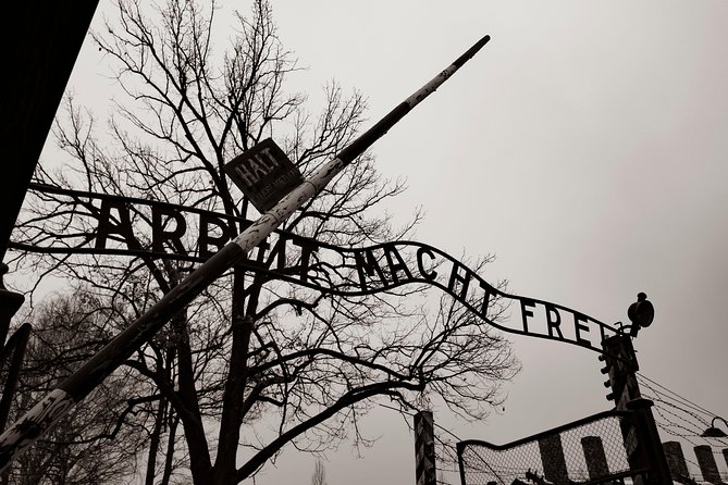 Auschwitz-Birkenau and Wieliczka Salt Mine Day Tour from Krakow with private car - Key things that make this tour work well