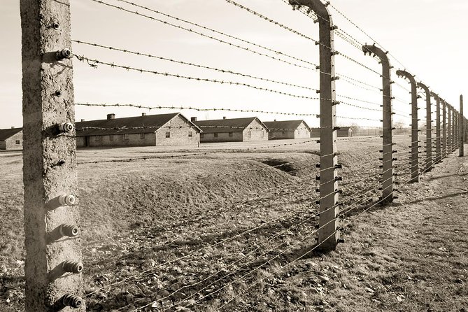 Auschwitz- Birkenau and Wieliczka Salt Mine in One Day - Salt mine pacing: when you might miss exhibits