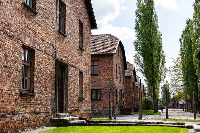 Auschwitz-Birkenau: Day Trip & Transfer from Kraków - Reliability realities: where the day can go smoothly or sideways