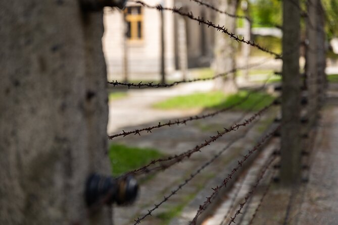 Auschwitz-Birkenau: Day Trip & Transfer from Kraków - Who should book this Auschwitz day trip from Kraków