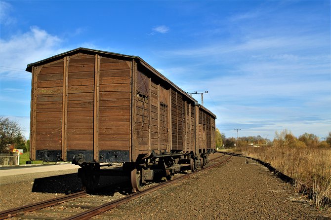 Auschwitz & Birkenau English guided tour by private transport from Katowice - The English guided walk: what the guide role adds
