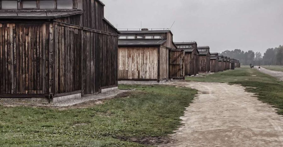 Auschwitz-Birkenau: Entrance Ticket and Live Tour Guide - Key things to know before you go