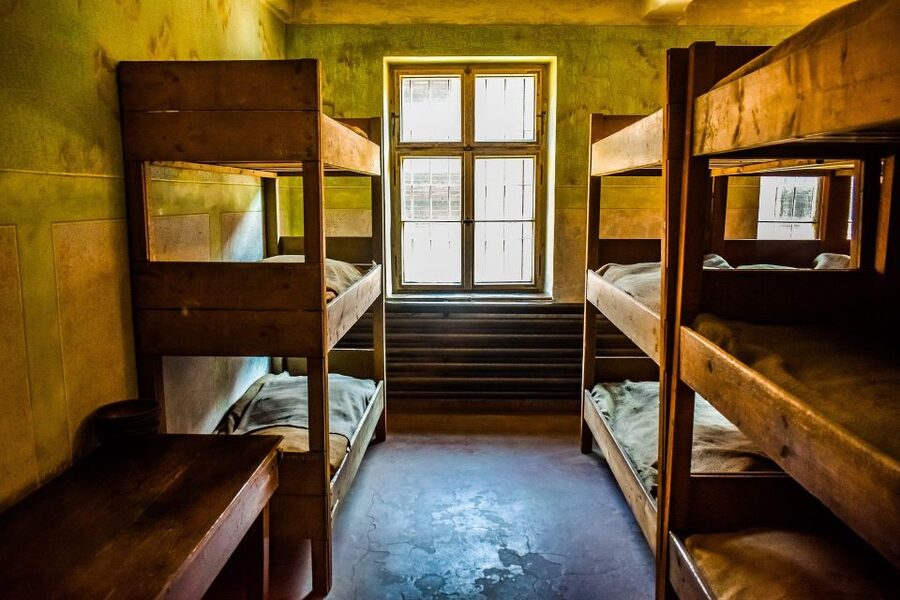 Auschwitz-Birkenau: Entrance Ticket and Live Tour Guide - A realistic take on reviews: smooth entry can happen, but watch for audio and cancellations
