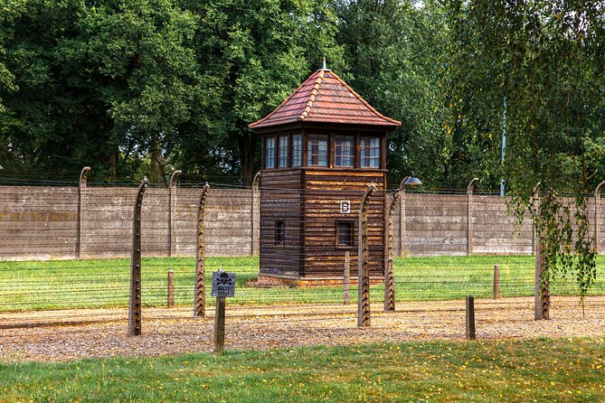 Auschwitz-Birkenau: Fast-Track Ticket & Guided Tour No Transfers - Group Tours and What the Numbers Tell You