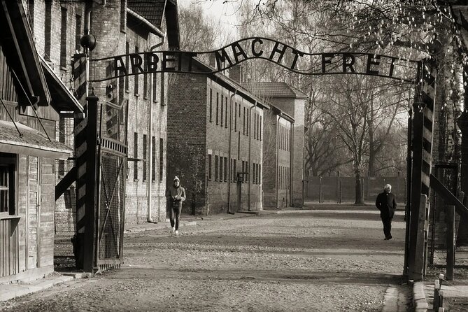 Auschwitz-Birkenau Guided Shared Tour from Krakow - The transport setup: shared minivan, small groups, clear audio