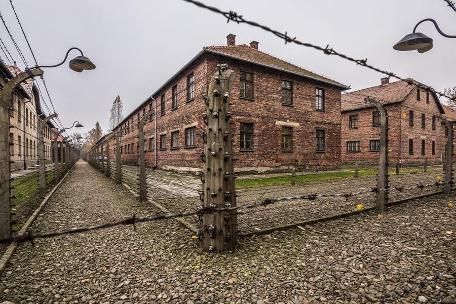 Auschwitz-Birkenau: Guided Tour and Skip-The-Line Ticket - Price and value: what you’re paying for, and what you’re not