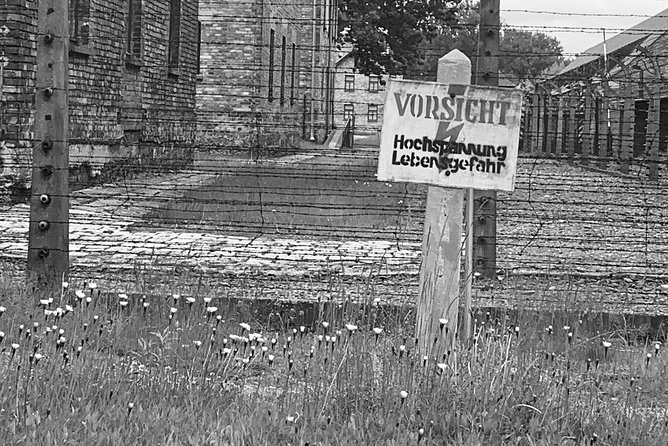 Auschwitz-Birkenau guided tour from Krakow - private car - Auschwitz II-Birkenau: barracks, ramps, and the size of what happened