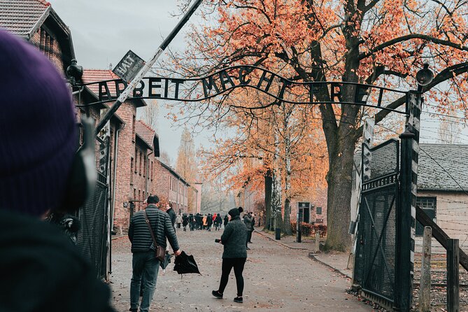 Auschwitz Birkenau guided tour from Krakow private chauffeur - Brzezinka (Birkenau): Why the Ramp and Crematoria Matter
