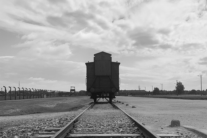 Auschwitz-Birkenau guided tour from Krakow with a private transport - What the Tour Gets Right: Organization and Pacing