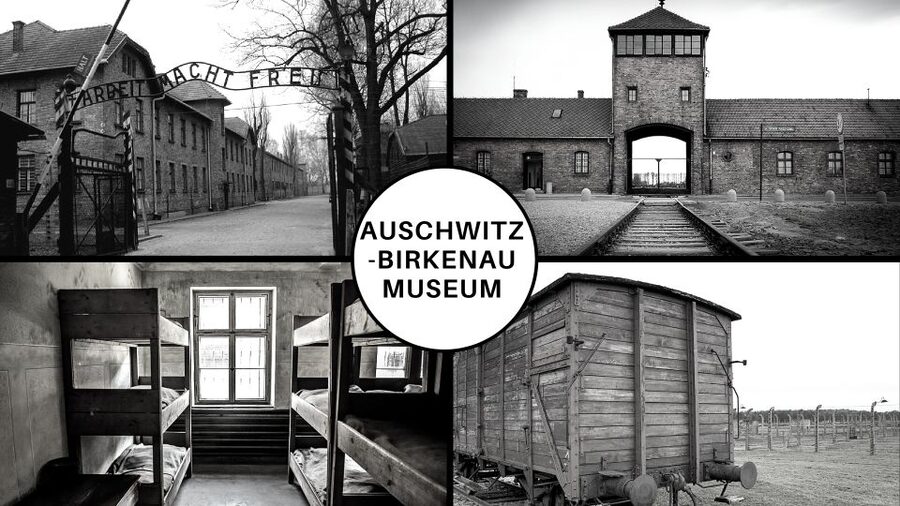 Auschwitz-Birkenau Guided Tour & Transfer from Krakow - The Short Bus Transfer to Auschwitz II-Birkenau