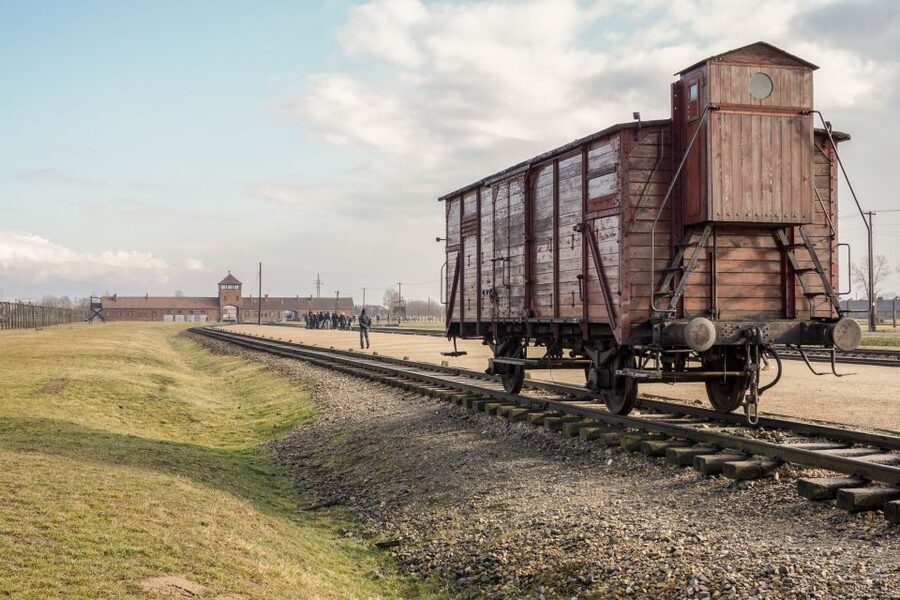 Auschwitz-Birkenau Guided Tour & Transfer from Krakow - Price and Value: Why This Works Around $34