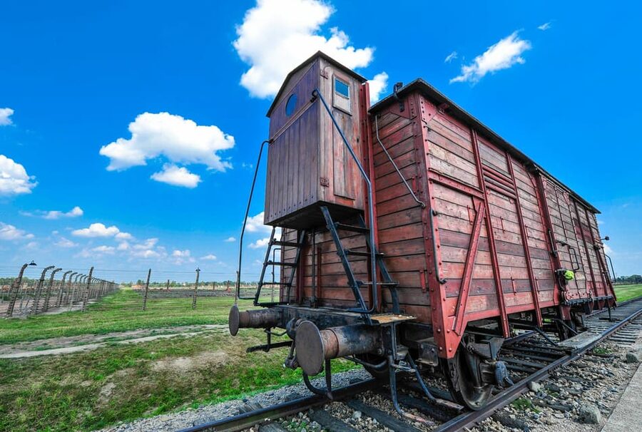 Auschwitz-Birkenau: Guided Tour with Fast Track Ticket - Why this fast-track Auschwitz tour is a practical win