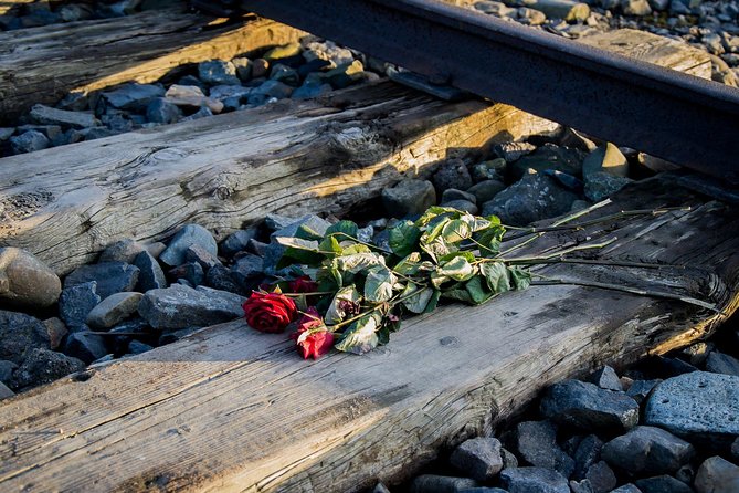 Auschwitz Birkenau Guided Tour with Ticket Hotel Pickup Small Van - What You Actually Pay For: Value at $32.65 With Transport and Entry