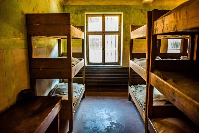 Auschwitz & Birkenau Live Guide Tour Entrance Ticket - Meeting point and timing: Stanisławy Leszczyńskiej 11, 11:30 am start