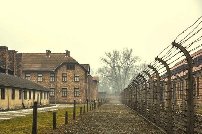 Auschwitz Birkenau Memorial and Museum group tour from Krakow - Respectful pacing and what the guide adds to your understanding