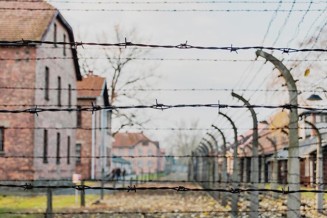 Auschwitz-Birkenau Memorial and Museum Guided Tour from Krakow - Who this Auschwitz-Birkenau guided tour suits best