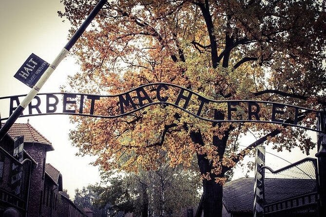 Auschwitz-Birkenau Memorial Entrance Ticket and Guided Tour - Exhibitions and prison blocks: how the museum keeps facts straight