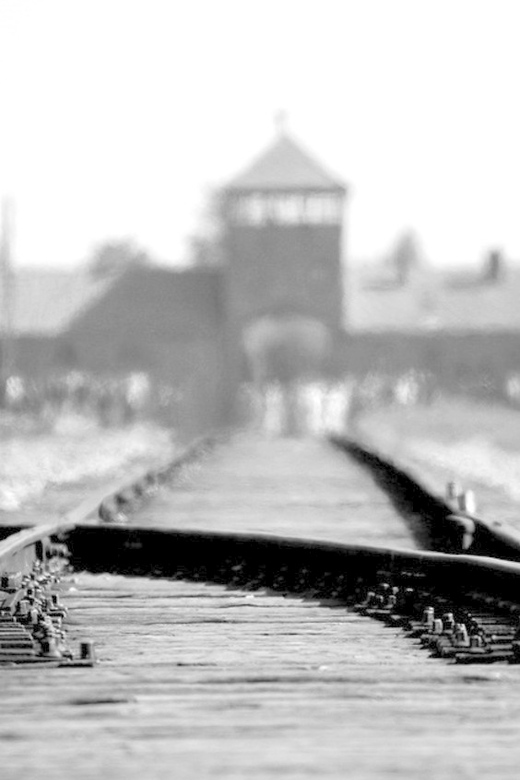 Auschwitz-Birkenau: Memorial Entry Ticket and Guided Tour - Why this Auschwitz-Birkenau guided entry is more than tickets