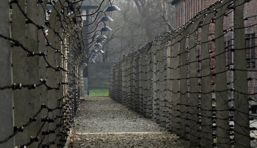 Auschwitz-Birkenau: Memorial Entry Ticket and Guided Tour - Headsets on a group tour: why this one detail matters