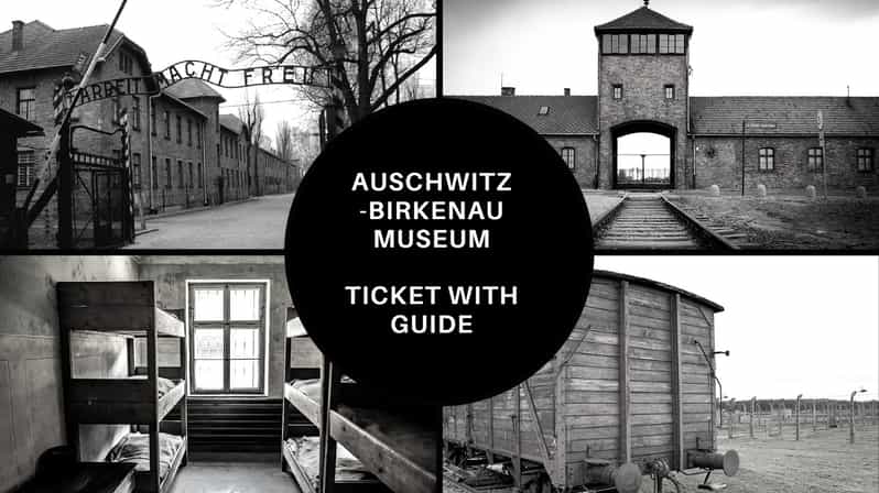 Auschwitz-Birkenau: Memorial Entry Ticket and Guided Tour - Who this suits best, and who might struggle