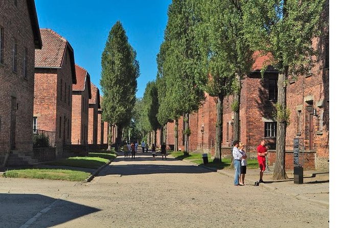 Auschwitz-Birkenau Museum and Memorial Guided Tour from Krakow - Birkenau, the memorial walk and why scale hits harder outside