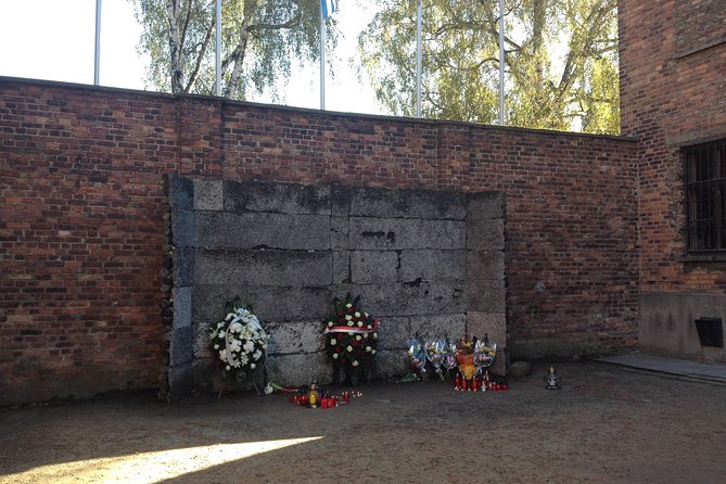Auschwitz-Birkenau Museum and Memorial Guided Tour from Krakow - Pacing, timing, and the reality of limited on-site hours