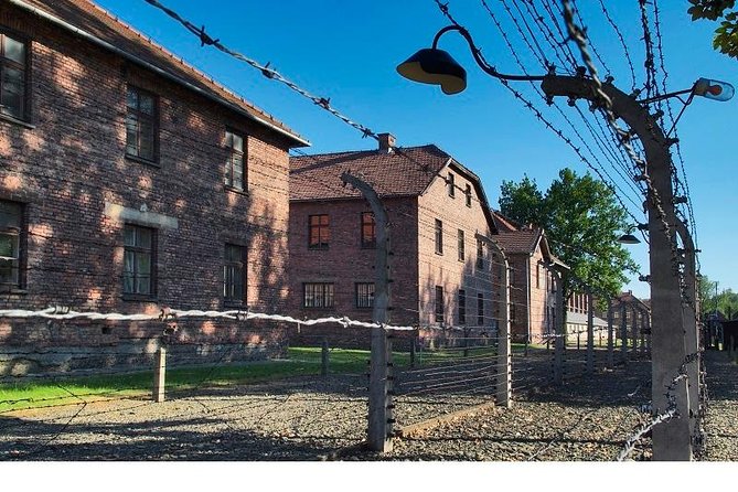Auschwitz-Birkenau Museum and Memorial Guided Tour from Krakow - What the limited break time means for food and comfort