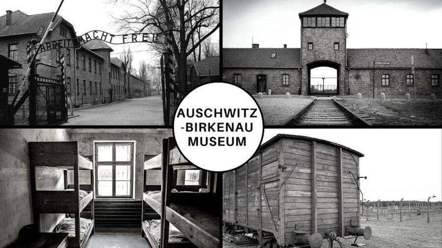 Auschwitz-Birkenau: Museum Entry Ticket with Guided Tour - What a guided Auschwitz-Birkenau ticket really gives you