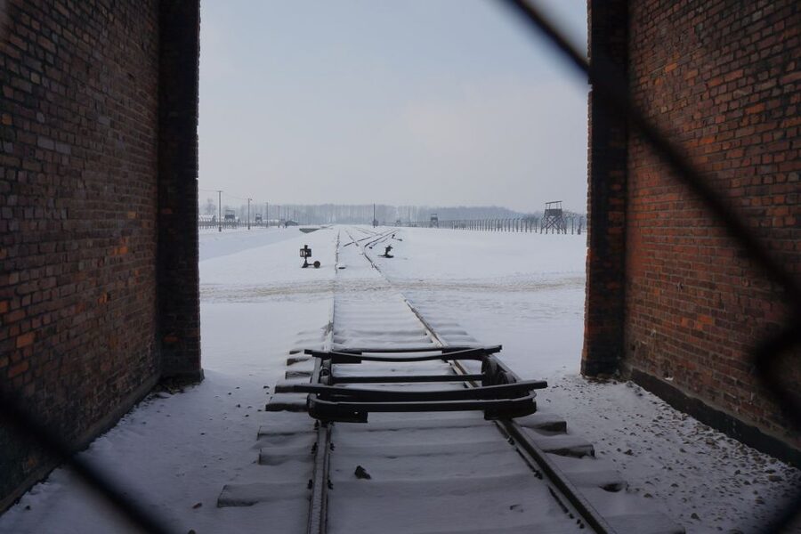 Auschwitz-Birkenau: Museum Entry Ticket with Guided Tour - The short break: a chance to reset before Birkenau