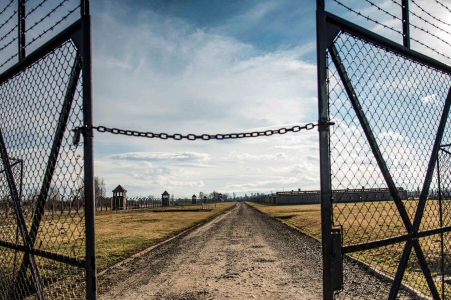 Auschwitz-Birkenau: Museum Entry Ticket with Guided Tour - Meeting point, timing, and how to avoid a last-minute headache