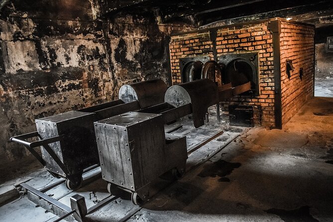 Auschwitz-Birkenau Private Tour from Krakow - What you will see at the museum grounds
