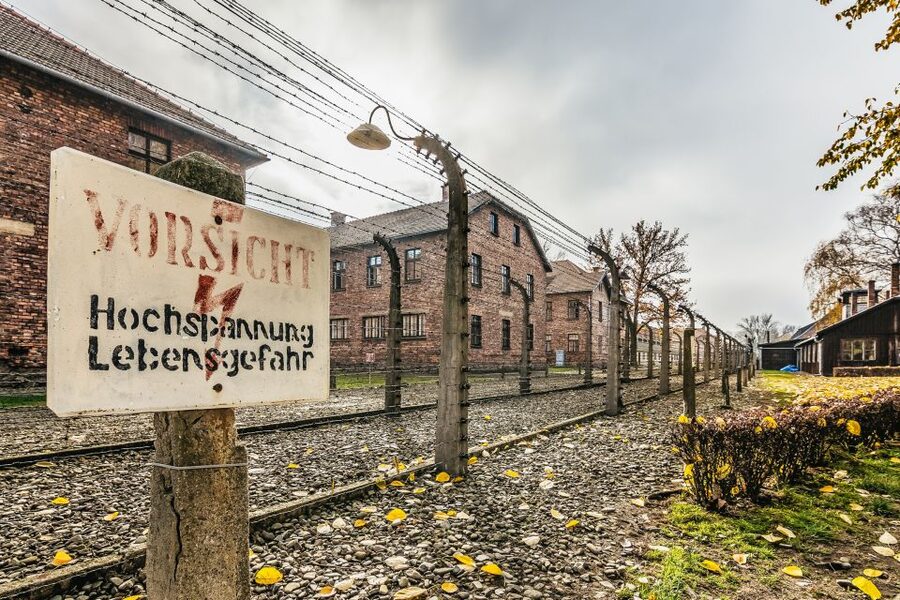 Auschwitz-Birkenau: Skip-the-Line Entry Ticket & Guided Tour - Quick highlights to plan around