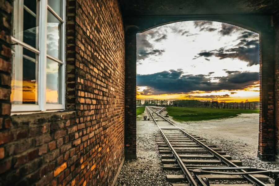 Auschwitz-Birkenau: Skip-the-Line Entry Ticket & Guided Tour - Is it worth it to book a guided skip-the-line tour instead of DIY?