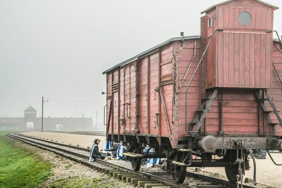 Auschwitz-Birkenau: Skip-the-Line Entry Ticket & Guided Tour - What you are really buying for $21 at Auschwitz-Birkenau