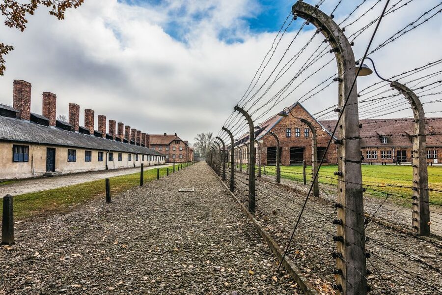 Auschwitz-Birkenau: Skip-the-Line Entry Ticket & Guided Tour - The licensed guide makes the difference, and names you might hear