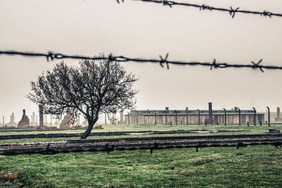 Auschwitz-Birkenau: Skip-the-Line Entry Ticket & Guided Tour - Starting at the museum entrance, security, and getting oriented fast
