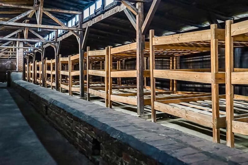 Auschwitz-Birkenau Skip-the-Line Guided Tour - Skip-the-line and an official guide: how you get more meaning, less waiting