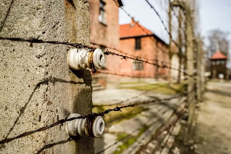 Auschwitz-Birkenau Skip-the-Line Guided Tour - Price and value: what $53 is really covering