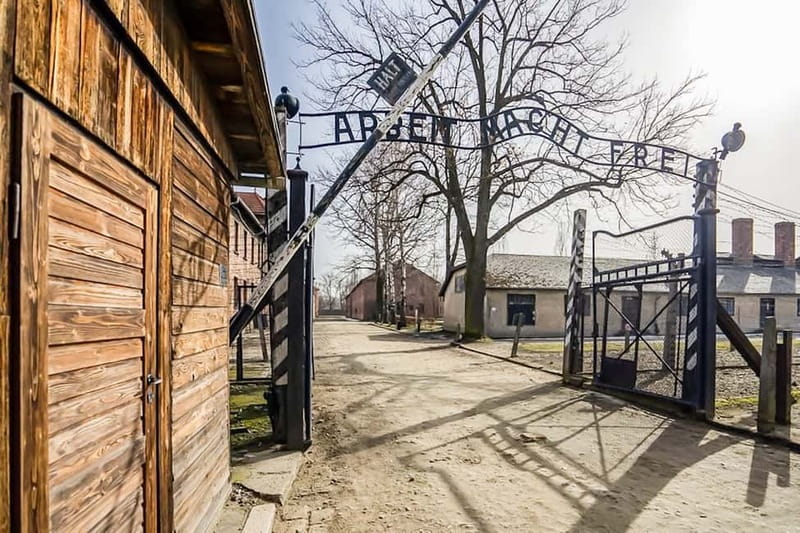 Auschwitz-Birkenau Skip-the-Line Guided Tour - Who should book this, and who might want a different option