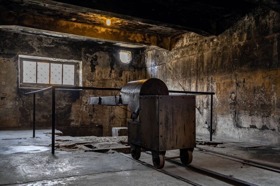 Auschwitz-Birkenau Skip-the-Line Ticket and Guided Tour - Logistics and rules you must not ignore