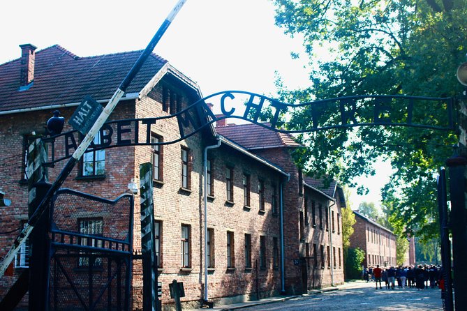 Auschwitz-Birkenau Tour: Tickets + Transportation from Krakow - Drivers and guides can vary, but the best ones keep you calm