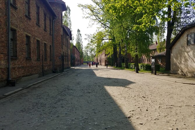 Auschwitz - Birkenau Tour with Private Transport from Krakow - Birkenau II: why the scale and layout hit harder