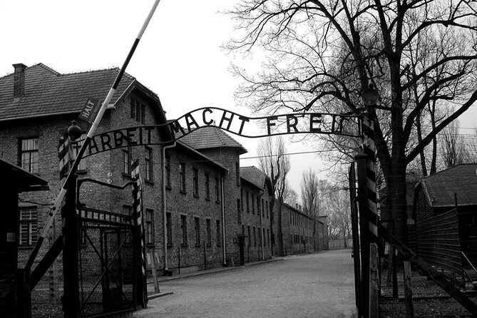 Auschwitz Birkenau Transfer and Guide with Salt Mine Combo Option - Matejko Square lunch reset: changing gears without losing time
