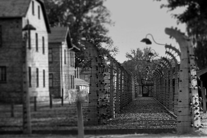 Auschwitz Birkenau Transfer and Guide with Salt Mine Combo Option - The day feels long because it has a purpose, not because it drags