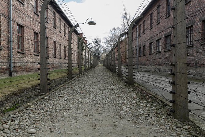 Auschwitz-Birkenau & Wieliczka in one day (Guided tour) - Should you book this tour or plan it differently?