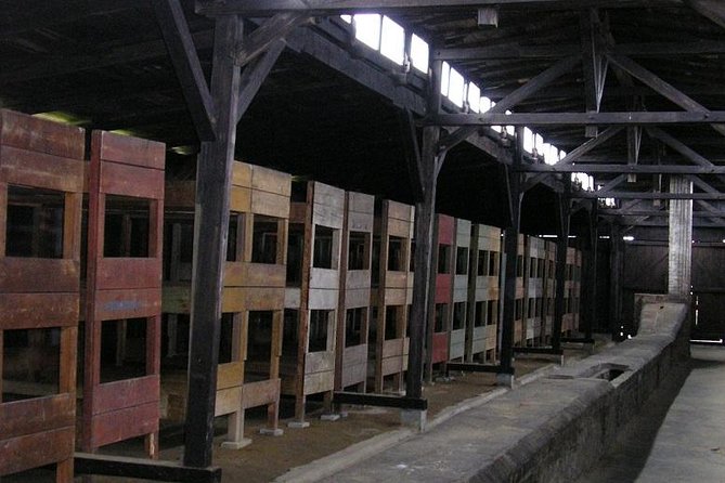 Auschwitz Guided Tour - Practical Tips for a Tough, Time-Structured Day