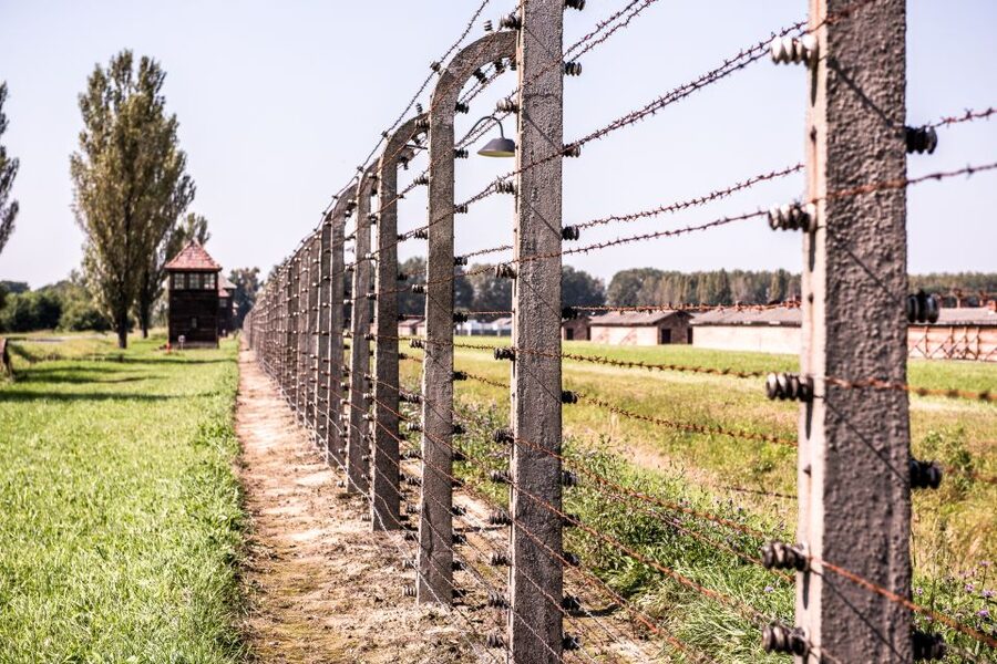Auschwitz Ticket and Full-Day Tour from Krakow - Should you book this Auschwitz tour from Krakow?