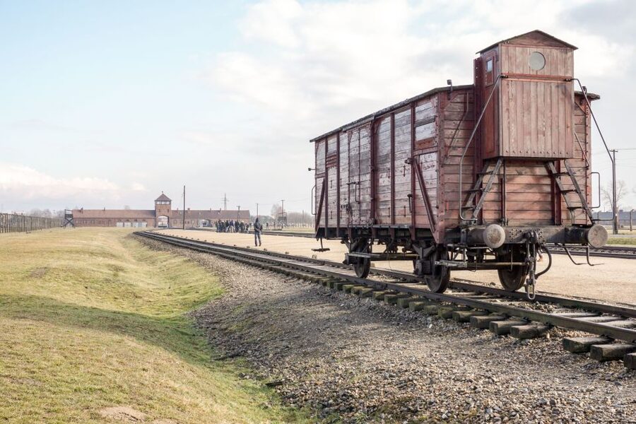 Auschwitz Ticket and Full-Day Tour from Krakow - Price and value: where the $96 goes